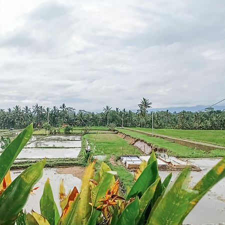 Nyoman Sandat House 1 Ubud Zewnętrze zdjęcie
