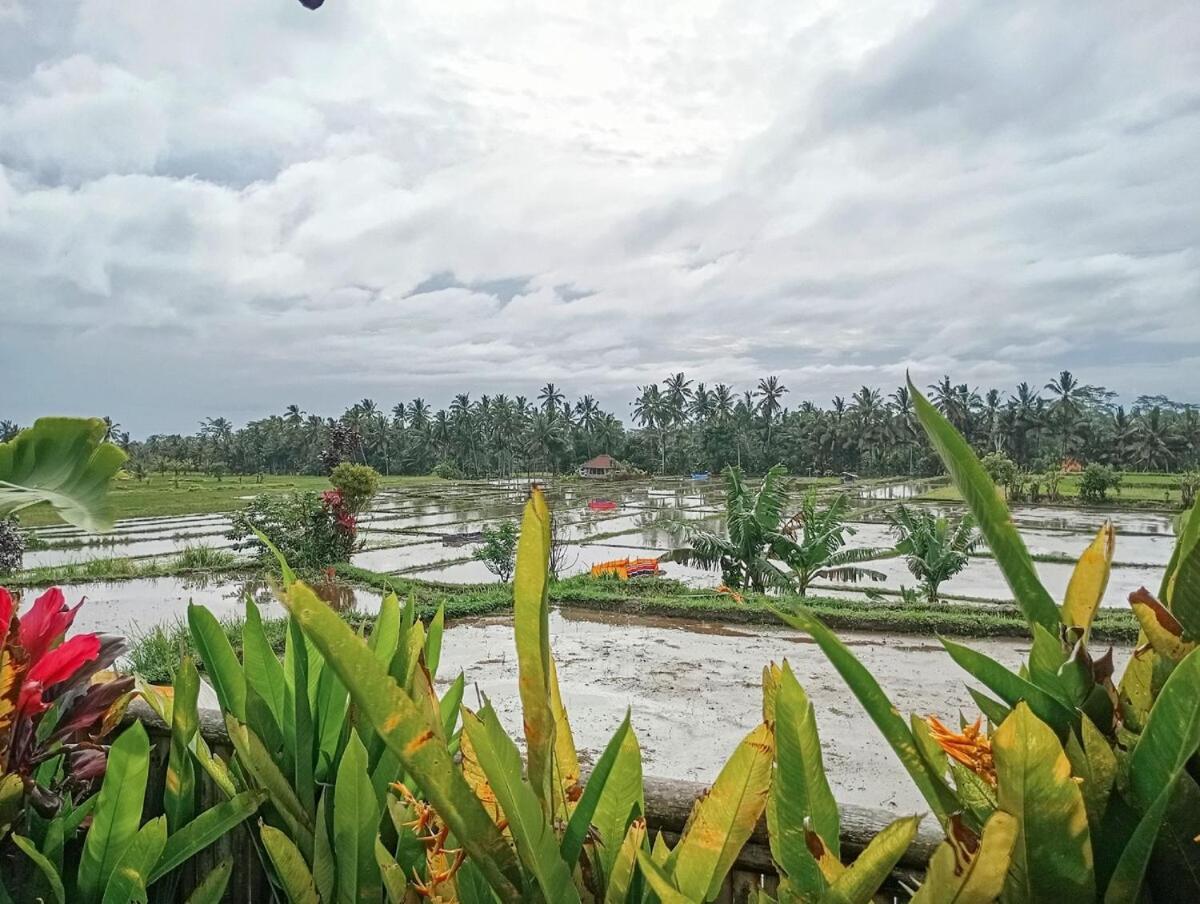 Nyoman Sandat House 1 Ubud Zewnętrze zdjęcie