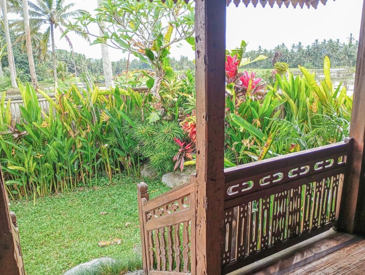 Nyoman Sandat House 1 Ubud Zewnętrze zdjęcie