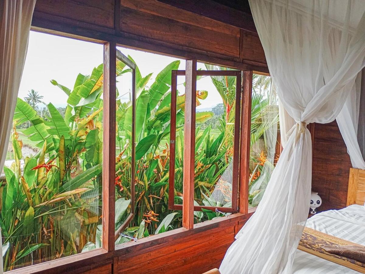 Nyoman Sandat House 1 Ubud Zewnętrze zdjęcie