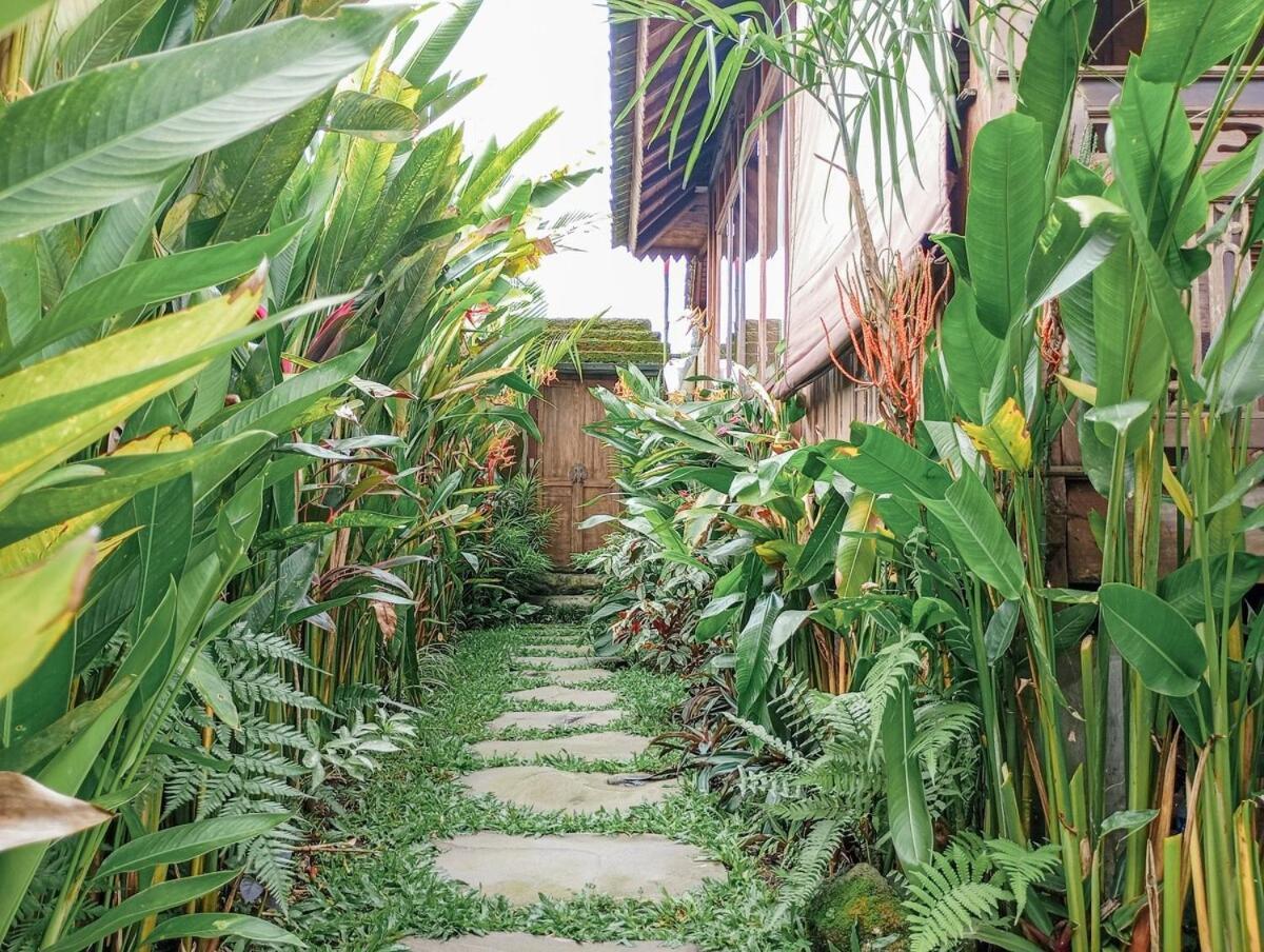 Nyoman Sandat House 1 Ubud Zewnętrze zdjęcie