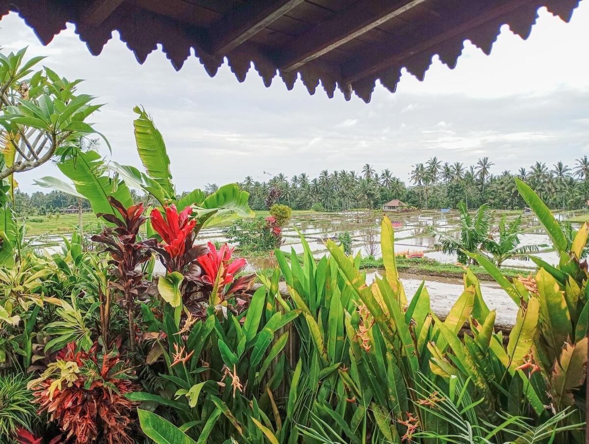 Nyoman Sandat House 1 Ubud Zewnętrze zdjęcie
