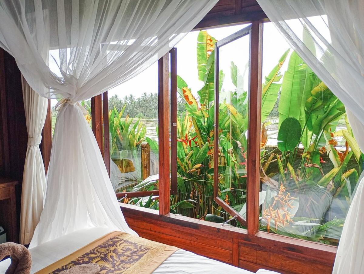Nyoman Sandat House 1 Ubud Zewnętrze zdjęcie