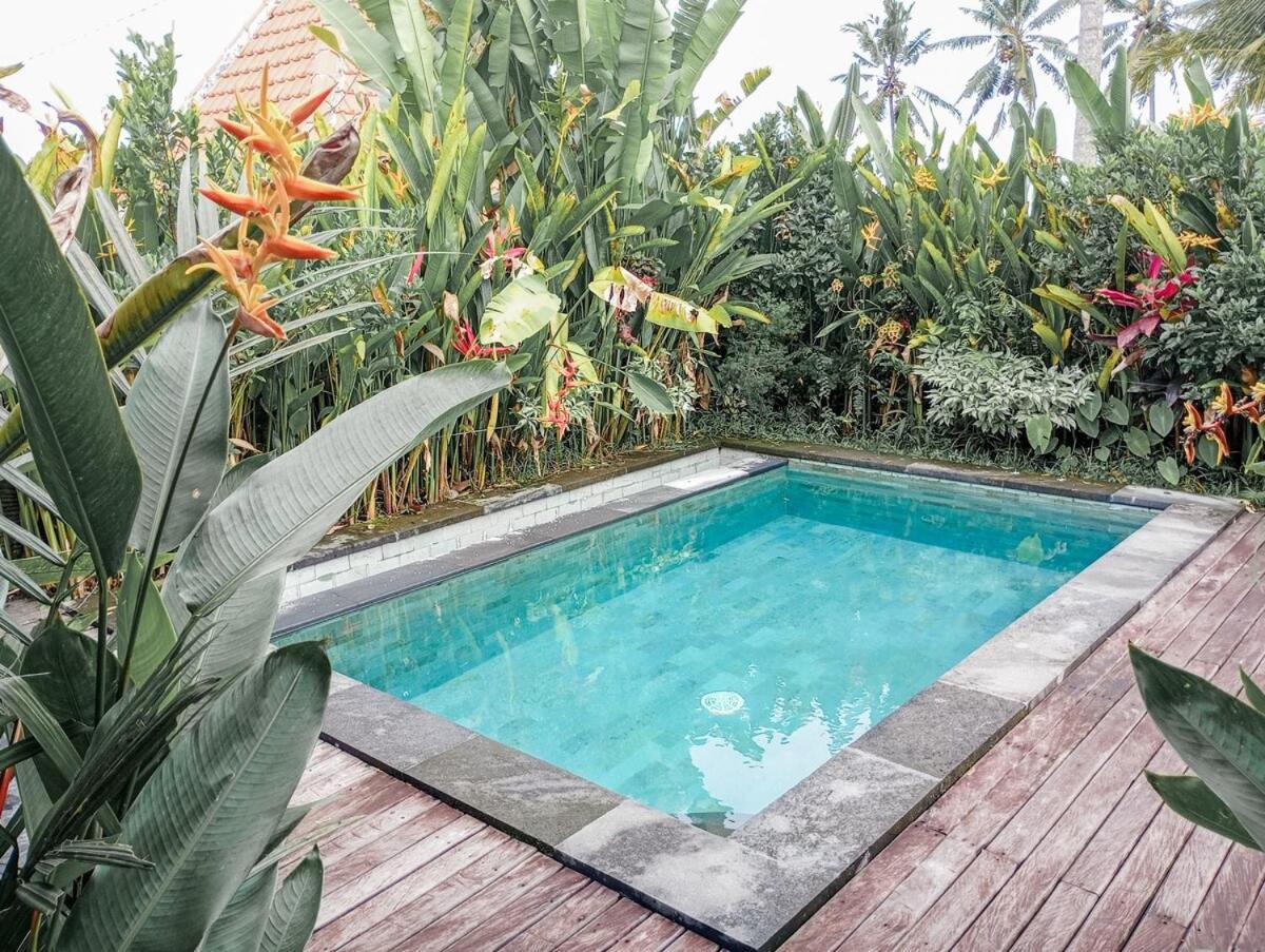 Nyoman Sandat House 1 Ubud Zewnętrze zdjęcie
