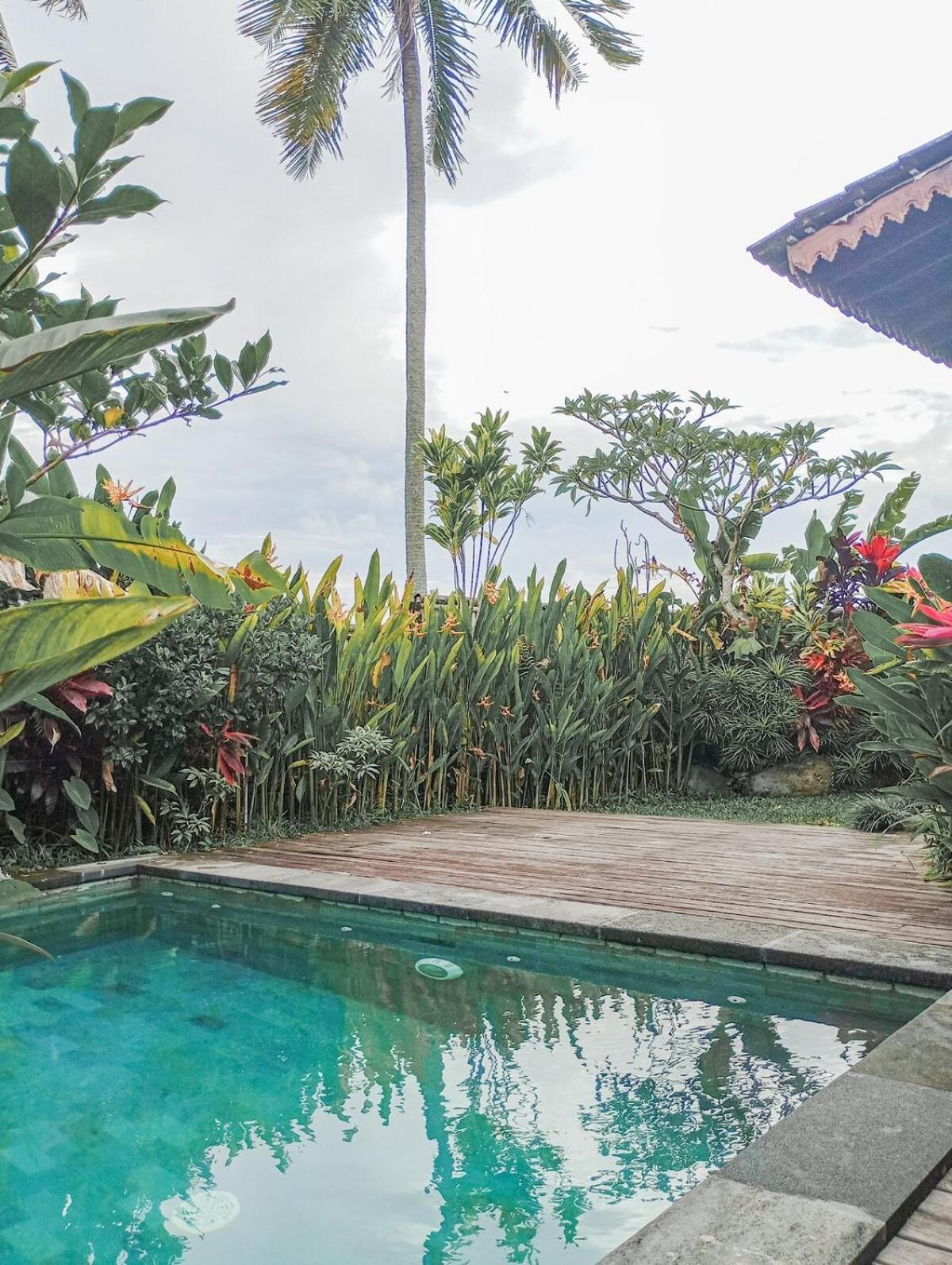 Nyoman Sandat House 1 Ubud Zewnętrze zdjęcie